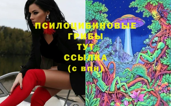 мет Аркадак